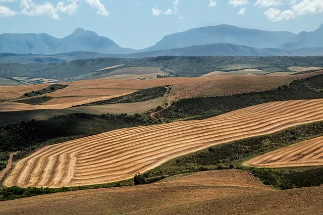 Assicurazione agevolata  c o n t r o  avversitÀ atmosferiche e calamitÀ naturali  autunno - inverno 2026